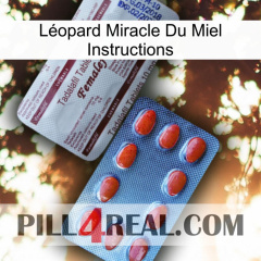 Léopard Miracle Du Miel Instructions 36